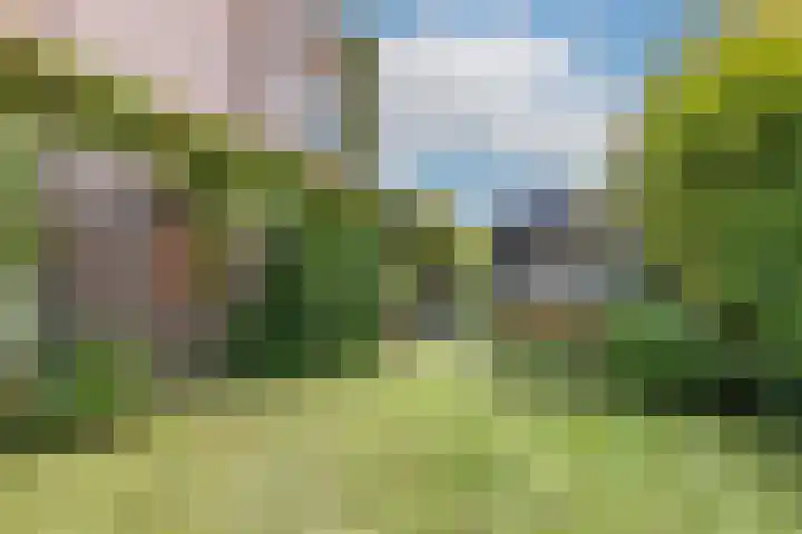 Noorderhoofdstraat 79 Krommenie thumbnail 25