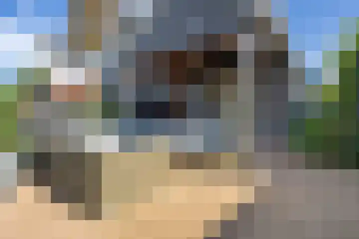 Noorderhoofdstraat 79 Krommenie thumbnail 27