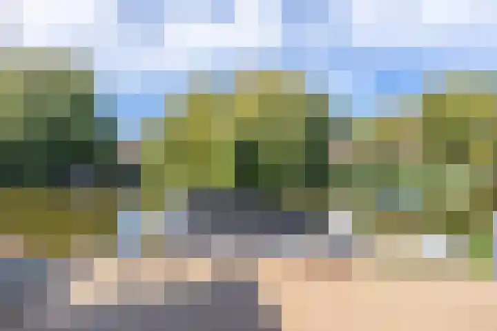 Noorderhoofdstraat 79 Krommenie thumbnail 29