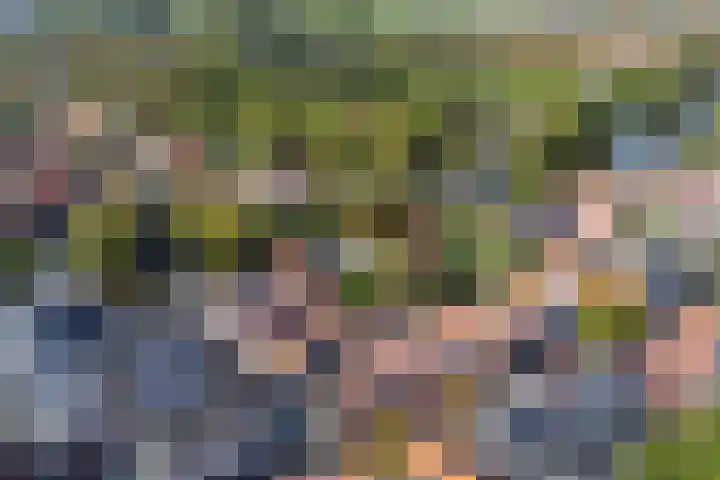 Noorderhoofdstraat 79 Krommenie thumbnail 31