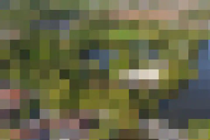Noorderhoofdstraat 79 Krommenie thumbnail 33
