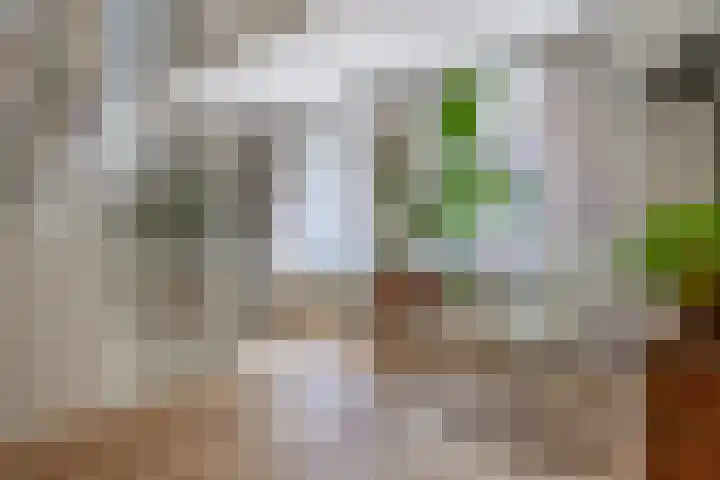 Noorderhoofdstraat 79 Krommenie thumbnail 5