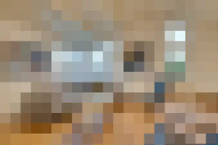Noorderhoofdstraat 95 Krommenie thumbnail 11