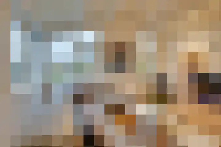 Noorderhoofdstraat 95 Krommenie thumbnail 12