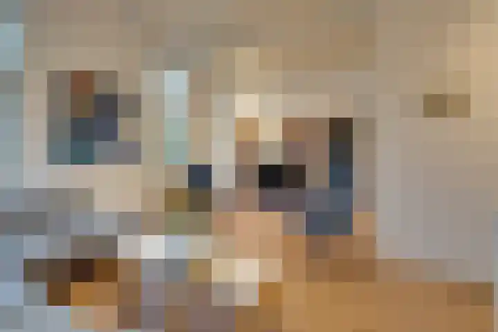 Noorderhoofdstraat 95 Krommenie thumbnail 13