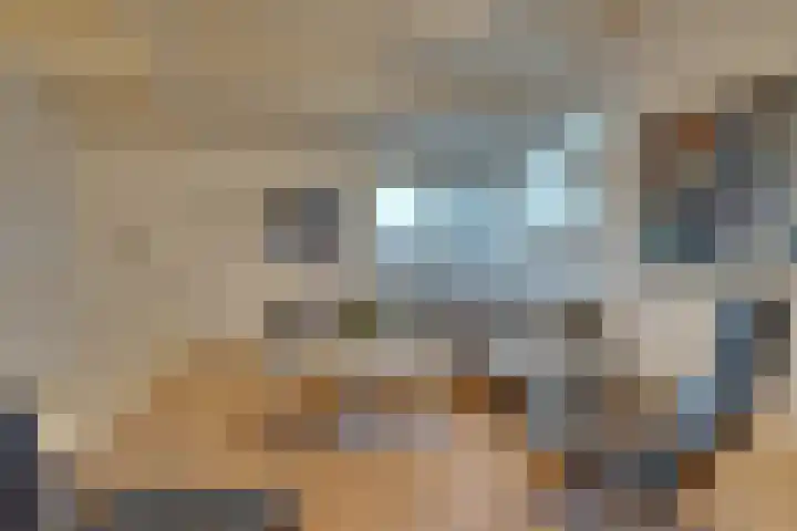 Noorderhoofdstraat 95 Krommenie thumbnail 14