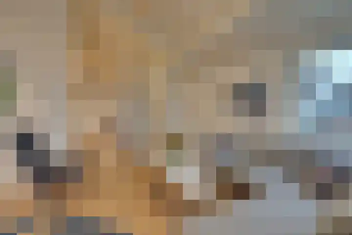 Noorderhoofdstraat 95 Krommenie thumbnail 16