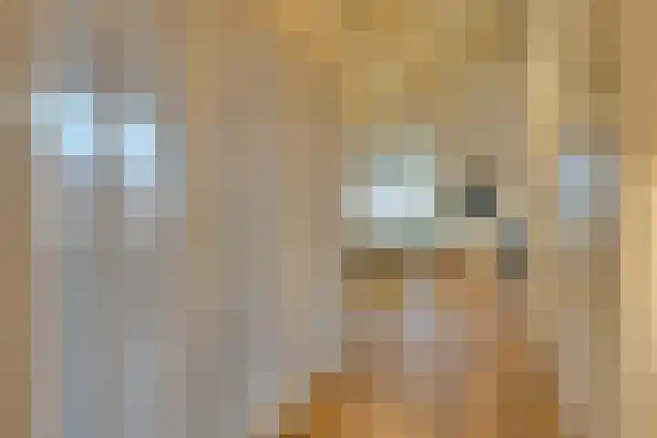 Noorderhoofdstraat 95 Krommenie thumbnail 18