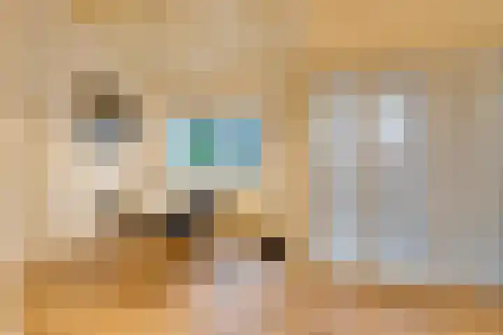 Noorderhoofdstraat 95 Krommenie thumbnail 21
