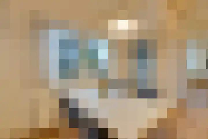 Noorderhoofdstraat 95 Krommenie thumbnail 24