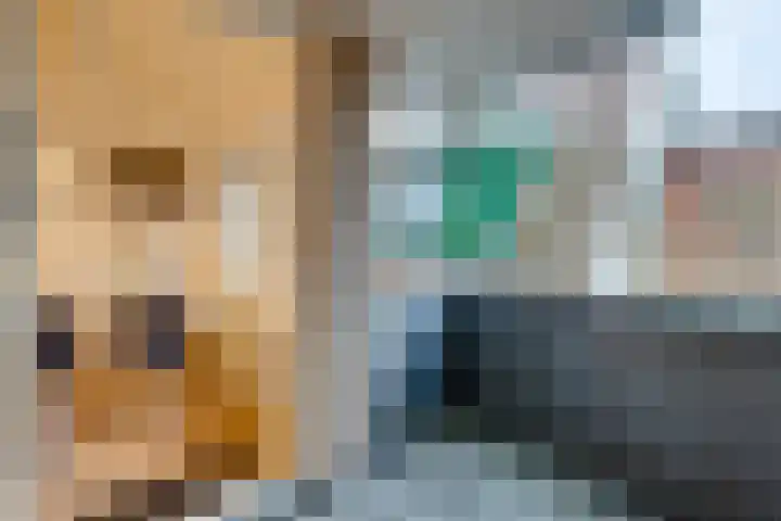 Noorderhoofdstraat 95 Krommenie thumbnail 27