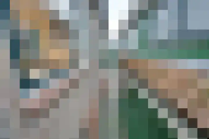 Noorderhoofdstraat 95 Krommenie thumbnail 29