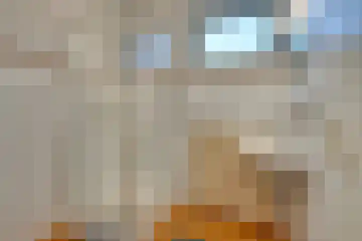 Noorderhoofdstraat 95 Krommenie thumbnail 34