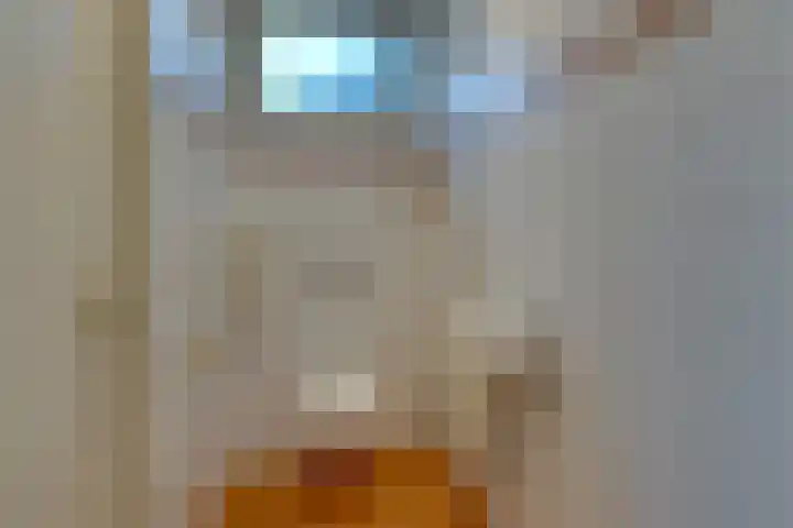Noorderhoofdstraat 95 Krommenie thumbnail 37