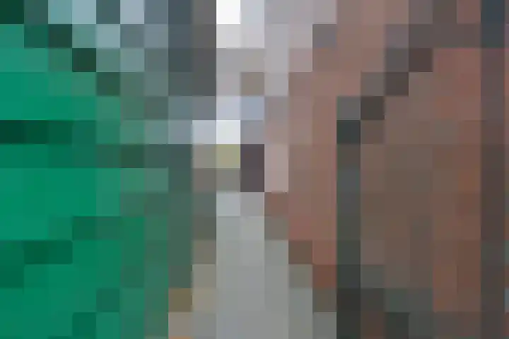 Noorderhoofdstraat 95 Krommenie thumbnail 7