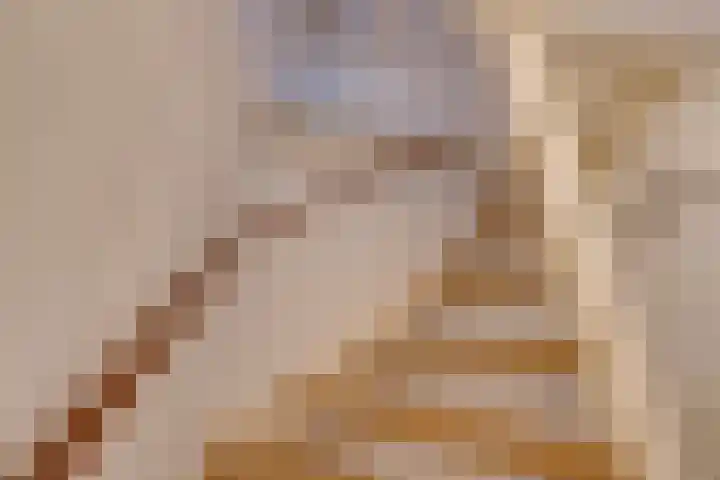 Noorderhoofdstraat 95 Krommenie thumbnail 9