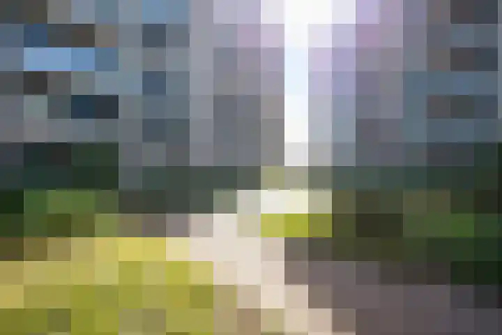 Noorderkade 1 A Alkmaar thumbnail 34