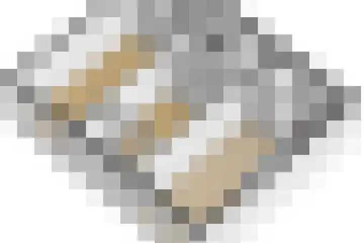 Noorderkade 1 A Alkmaar thumbnail 38