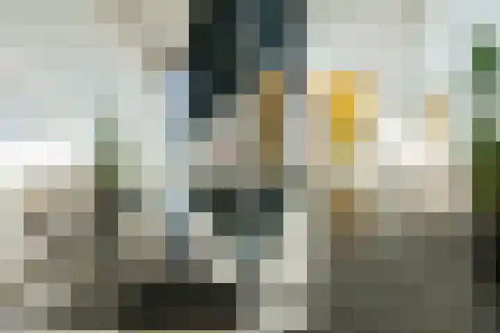 Noorderkade 1 A Alkmaar thumbnail 6