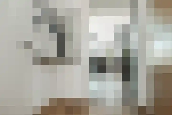 Noorderkade 1 A Alkmaar thumbnail 7