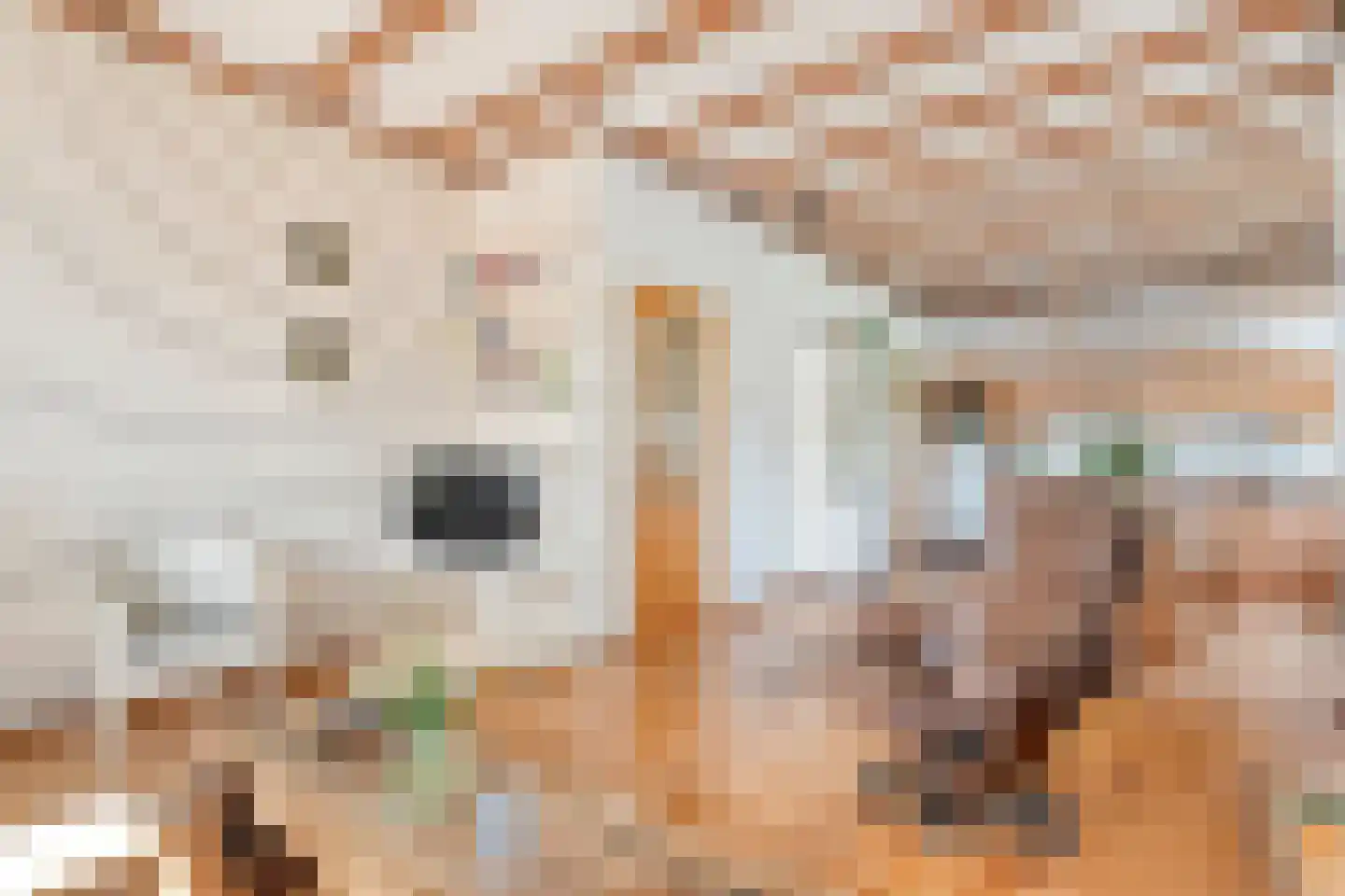 Noorderkade 17 Blokzijl thumbnail 16