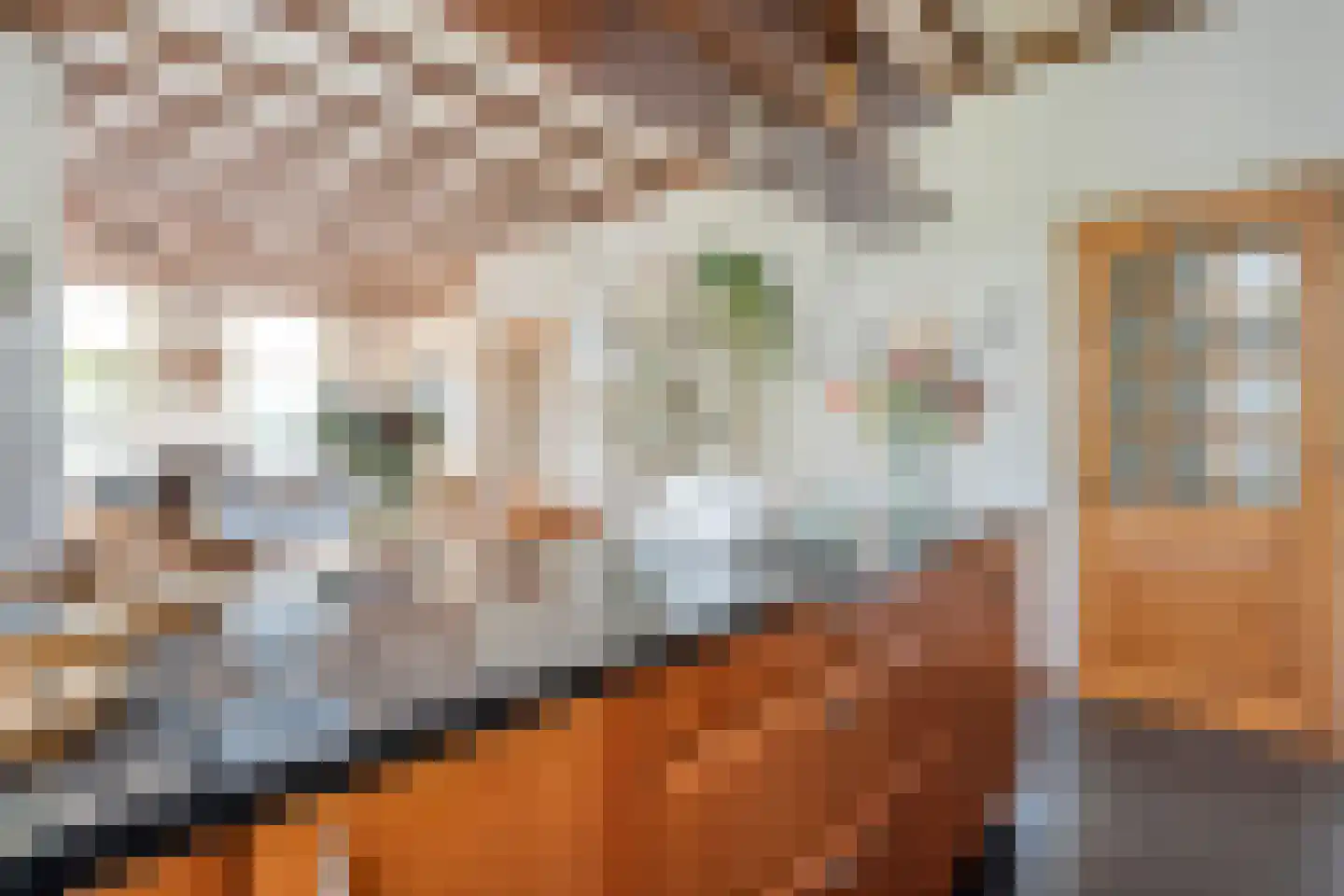 Noorderkade 17 Blokzijl thumbnail 20