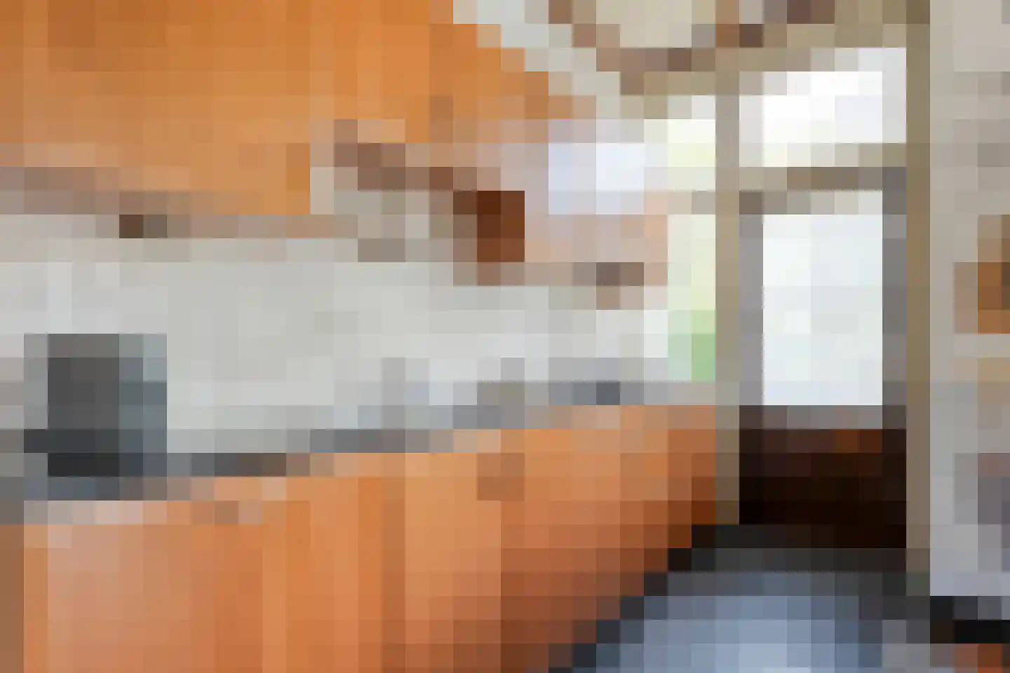 Noorderkade 17 Blokzijl thumbnail 22