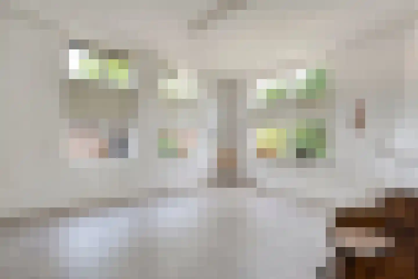 Noorderkade 17 Blokzijl thumbnail 23