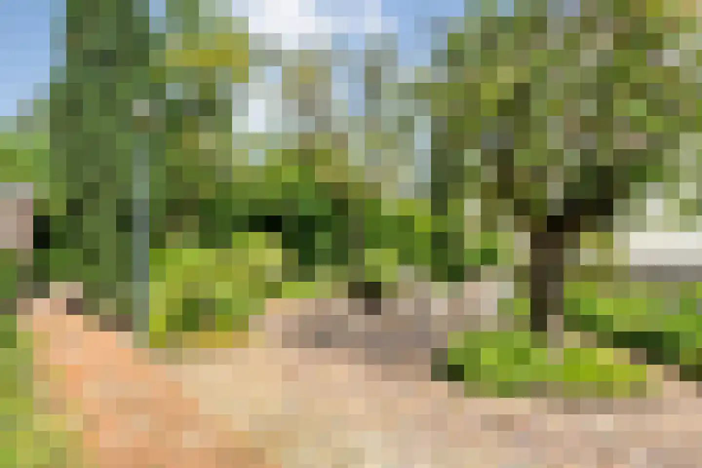 Noorderkade 17 Blokzijl thumbnail 39