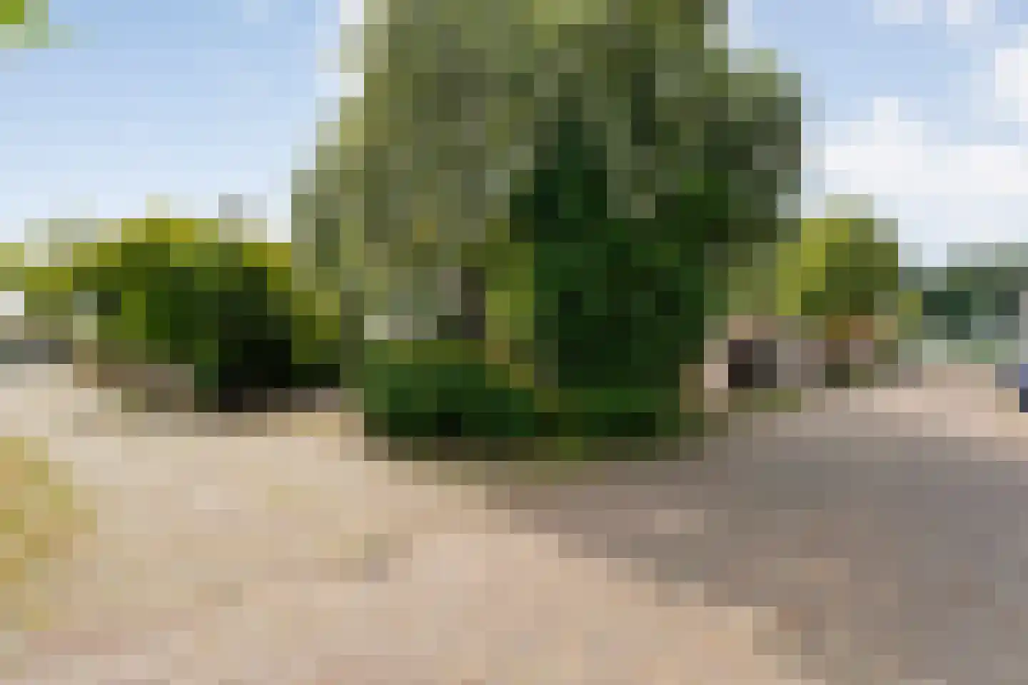 Noorderkade 17 Blokzijl thumbnail 53