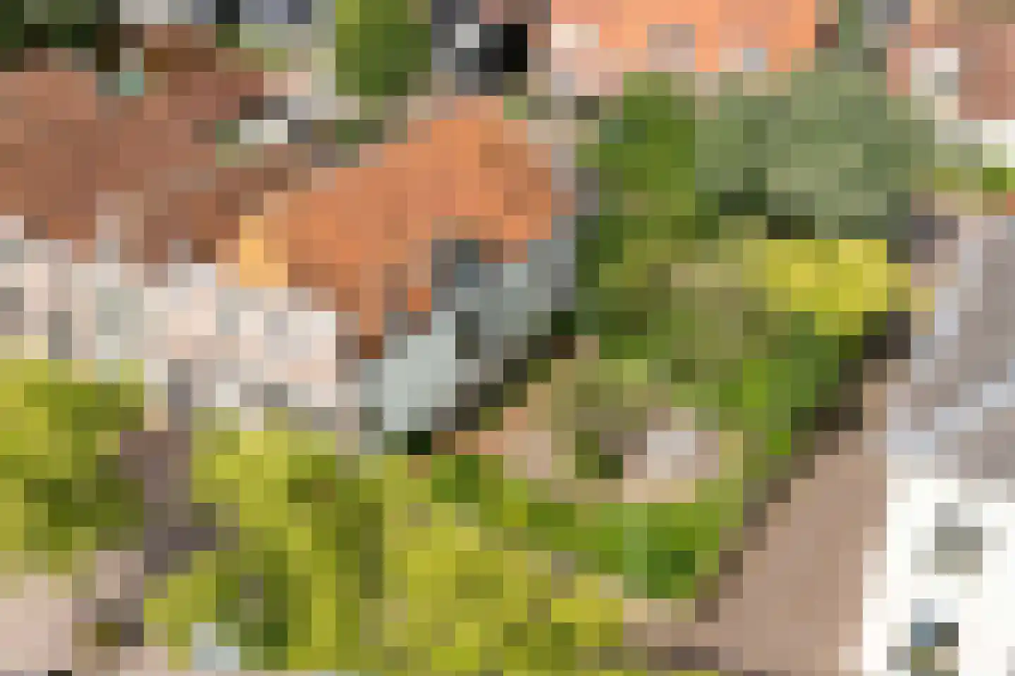 Noorderkade 17 Blokzijl thumbnail 7
