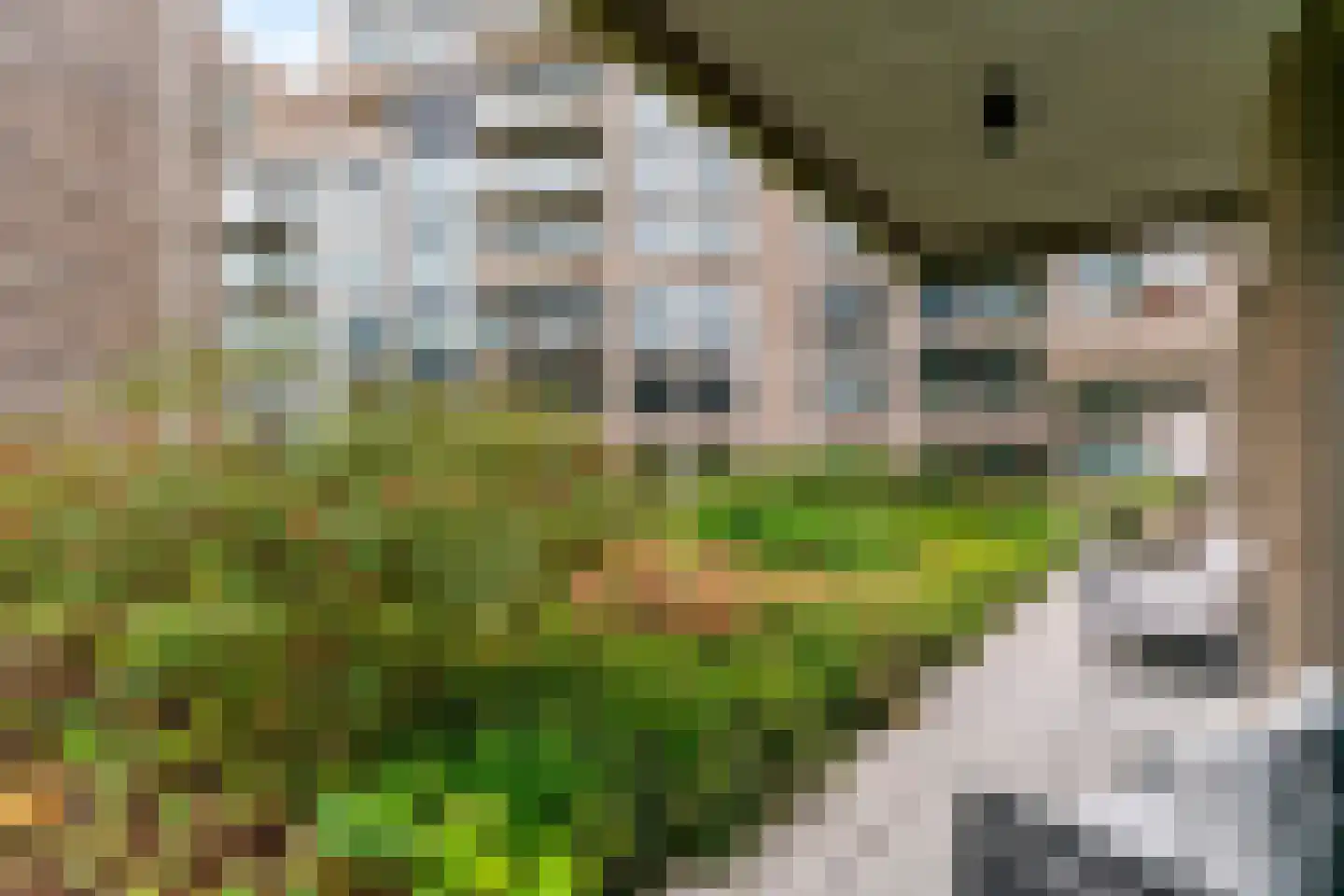 Noorderkade 18 D Alkmaar thumbnail 23
