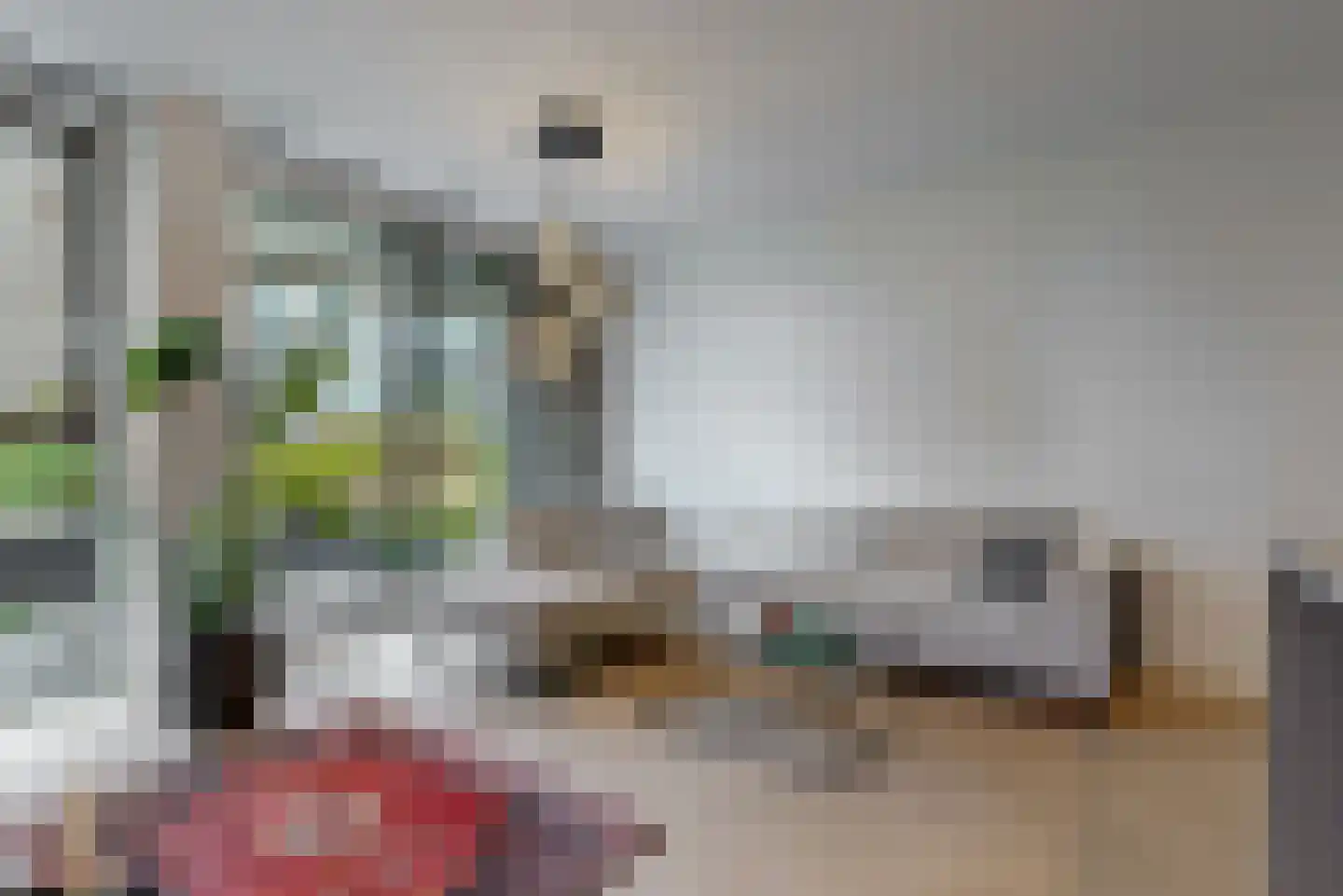 Noorderkade 18 D Alkmaar thumbnail 4