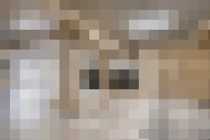 Noorderkade 19 H Alkmaar thumbnail 19