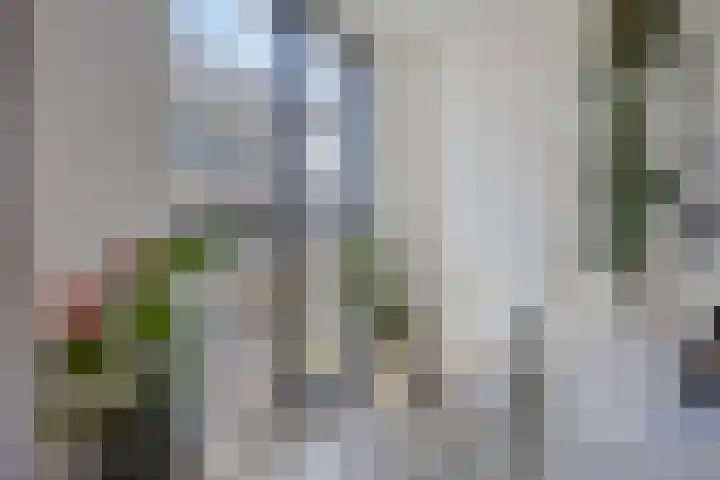 Noorderkade 19 H Alkmaar thumbnail 6