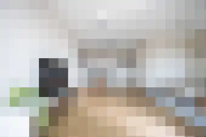Noorderkade 2 D Alkmaar thumbnail 13