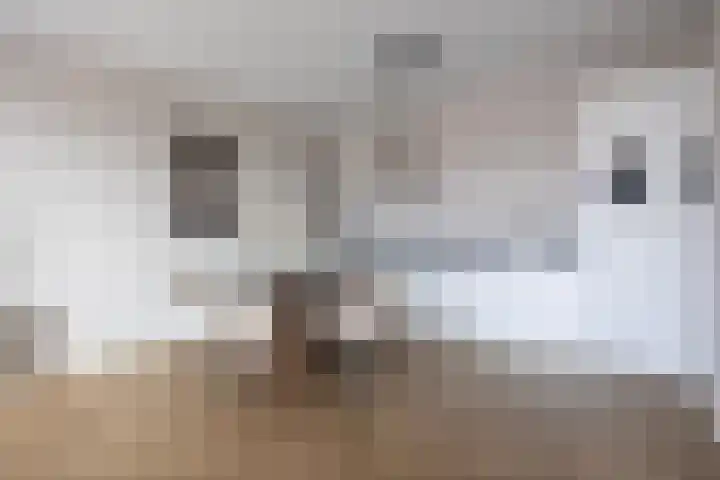 Noorderkade 2 D Alkmaar thumbnail 15