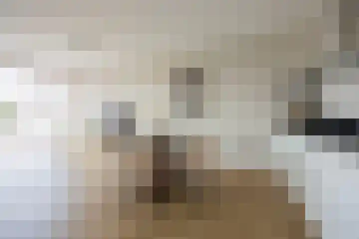 Noorderkade 2 D Alkmaar thumbnail 16