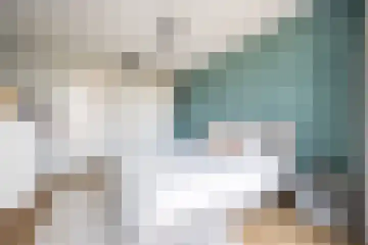 Noorderkade 2 D Alkmaar thumbnail 18