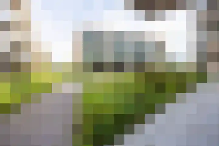 Noorderkade 2 D Alkmaar thumbnail 23