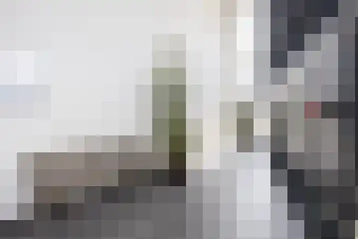 Noorderkade 2 D Alkmaar thumbnail 8