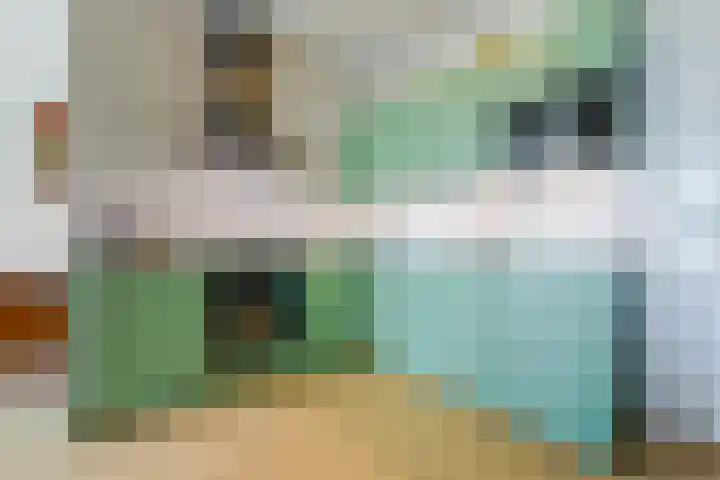 Noorderkade 2 G Alkmaar thumbnail 11