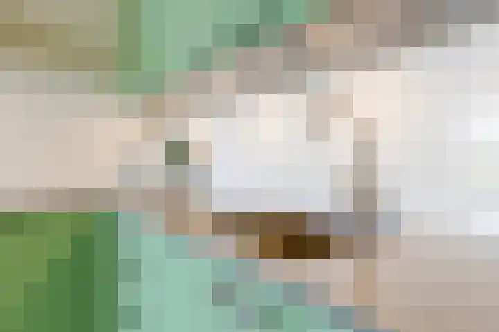 Noorderkade 2 G Alkmaar thumbnail 12