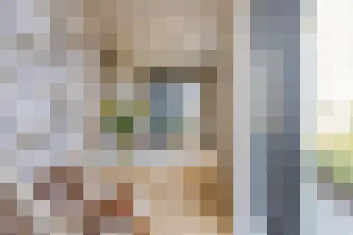 Noorderkade 2 G Alkmaar thumbnail 7