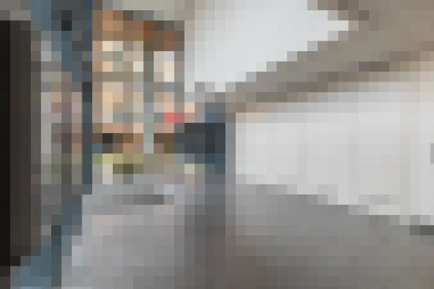Noorderkade 20 G Alkmaar thumbnail 25