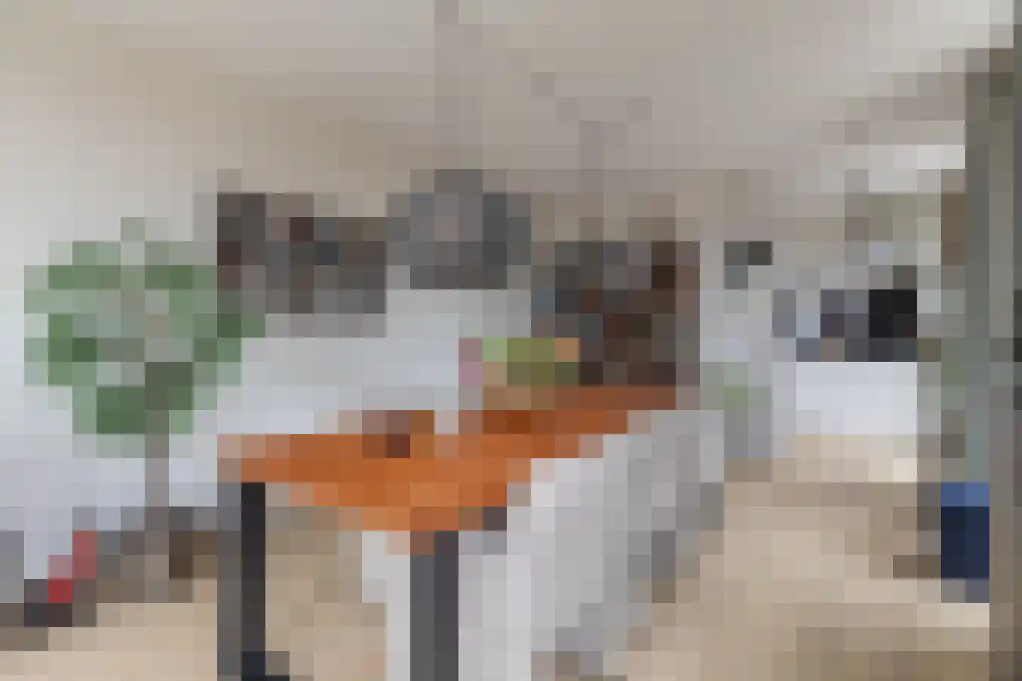 Noorderkade 20 G Alkmaar thumbnail 6