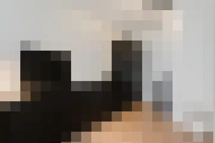 Noorderkade 21 C Alkmaar thumbnail 27