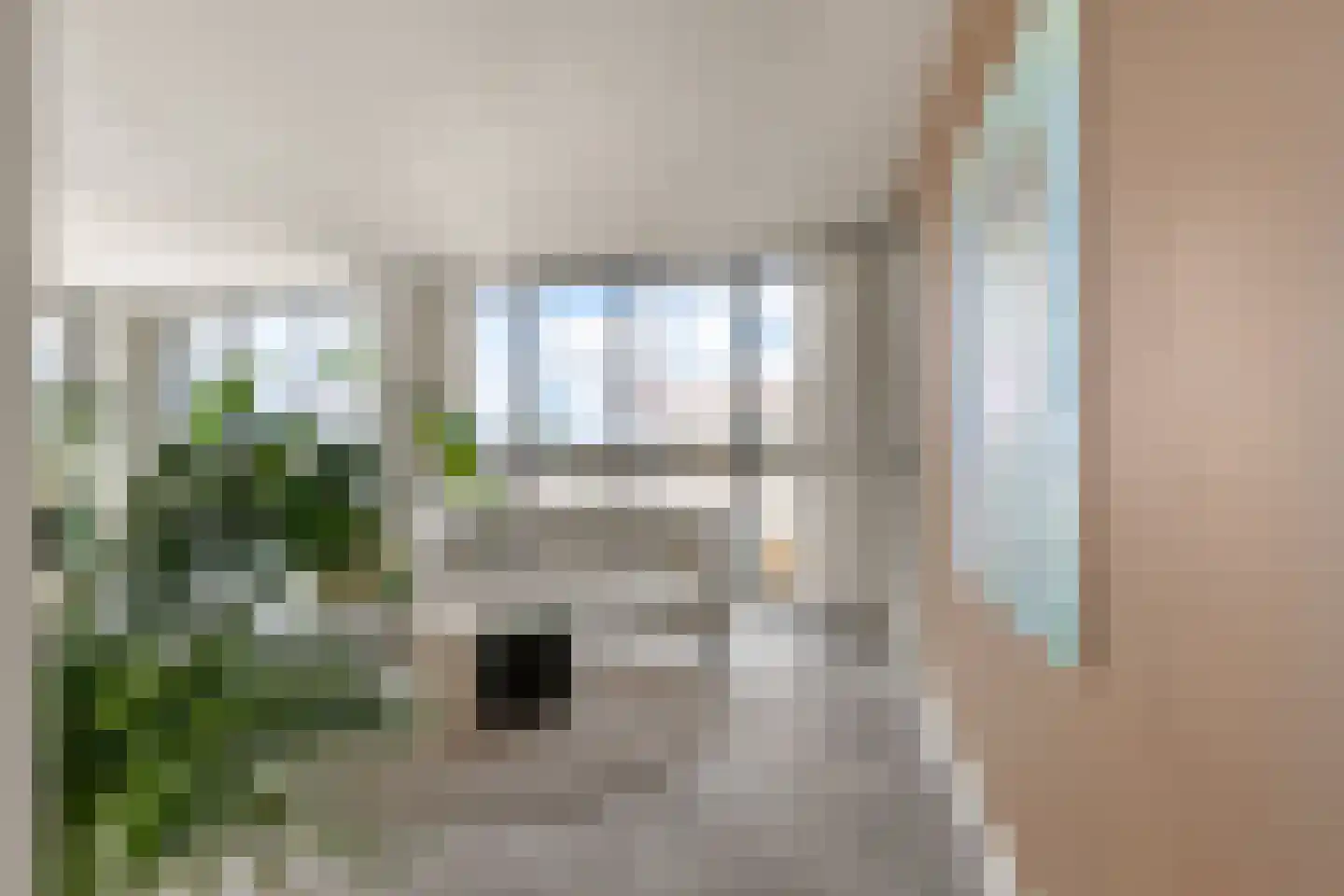 Noorderkade 21 H Alkmaar thumbnail 7