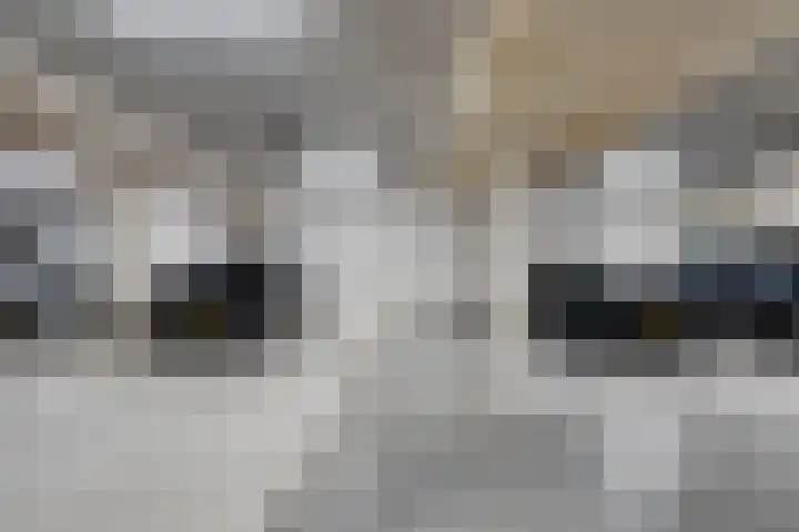 Noorderkade 22 G Alkmaar thumbnail 13