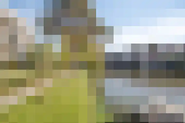 Noorderkade 22 G Alkmaar thumbnail 16
